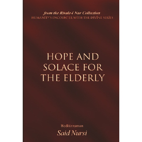 Hope and Solace for the Elderly (Paperback)