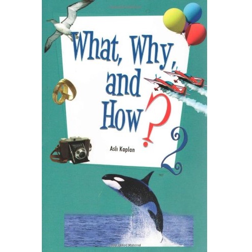 What, Why and How - 2 by by Asli Kaplan