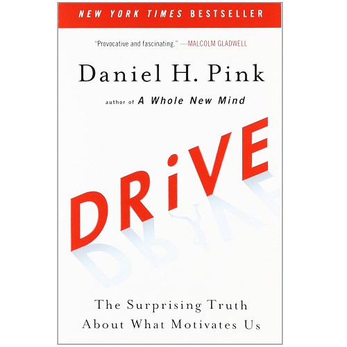 Drive: The Surprising Truth About What Motivates Us