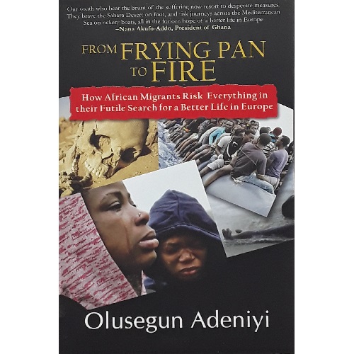 From Frying Pan to Fire By Olusegun Adeniyi