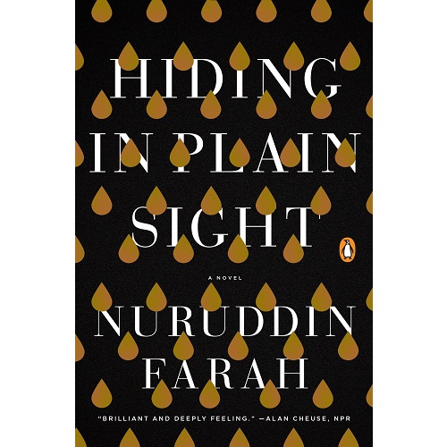 Hiding in Plain Sight