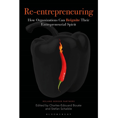 Re-Entrepreneuring: How Organizations Can Reignite Their Entrepreneurial Spirit