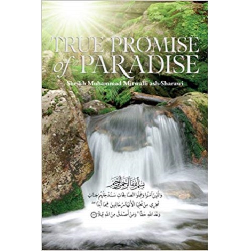 True Promise Of Paradise Paperback – 2012