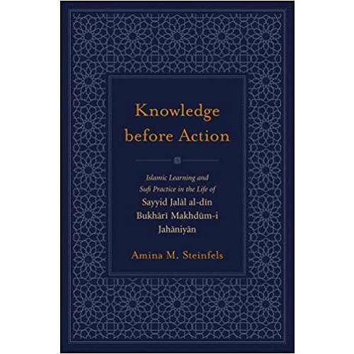 Knowledge Before Action by Amina M. Steinfels