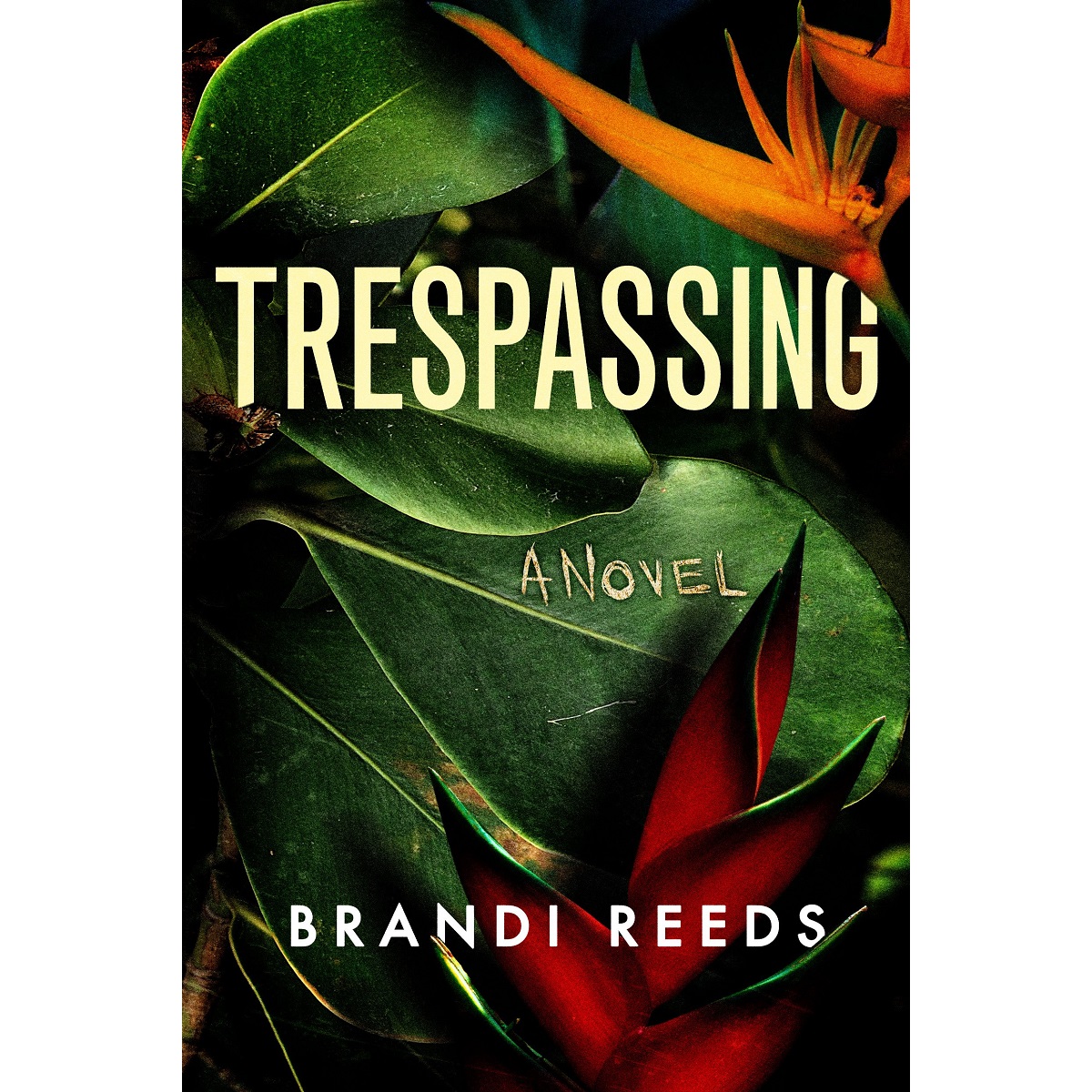 Trespassing By Brandi Reeds