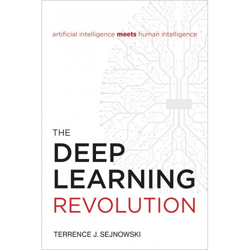 The Deep Learning Revolution