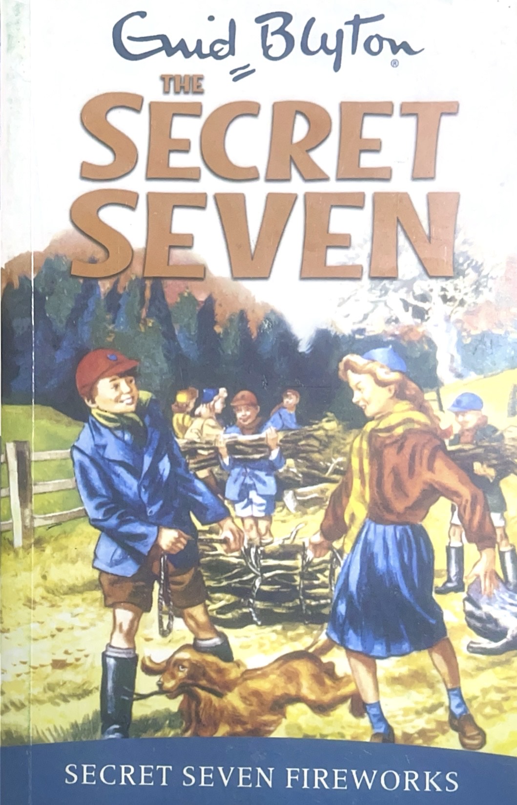 the secret seven