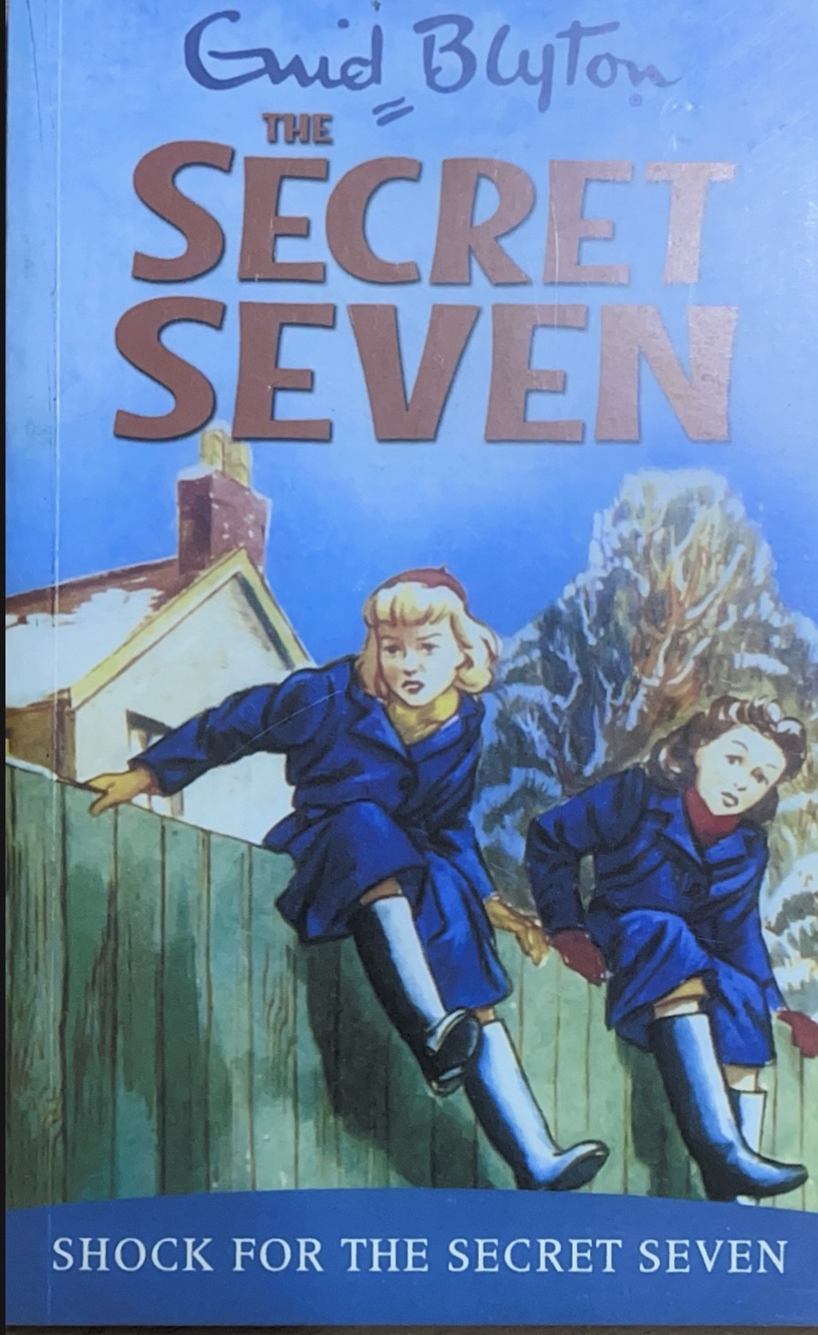 the secret seven