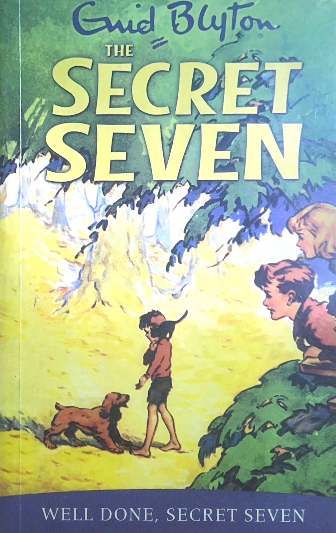 the secret seven